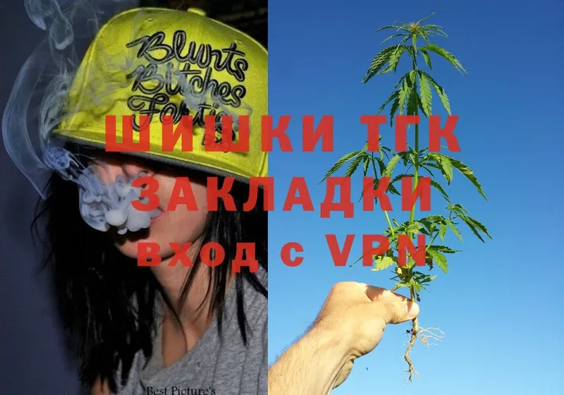 Канабис OG Kush  Заволжье 